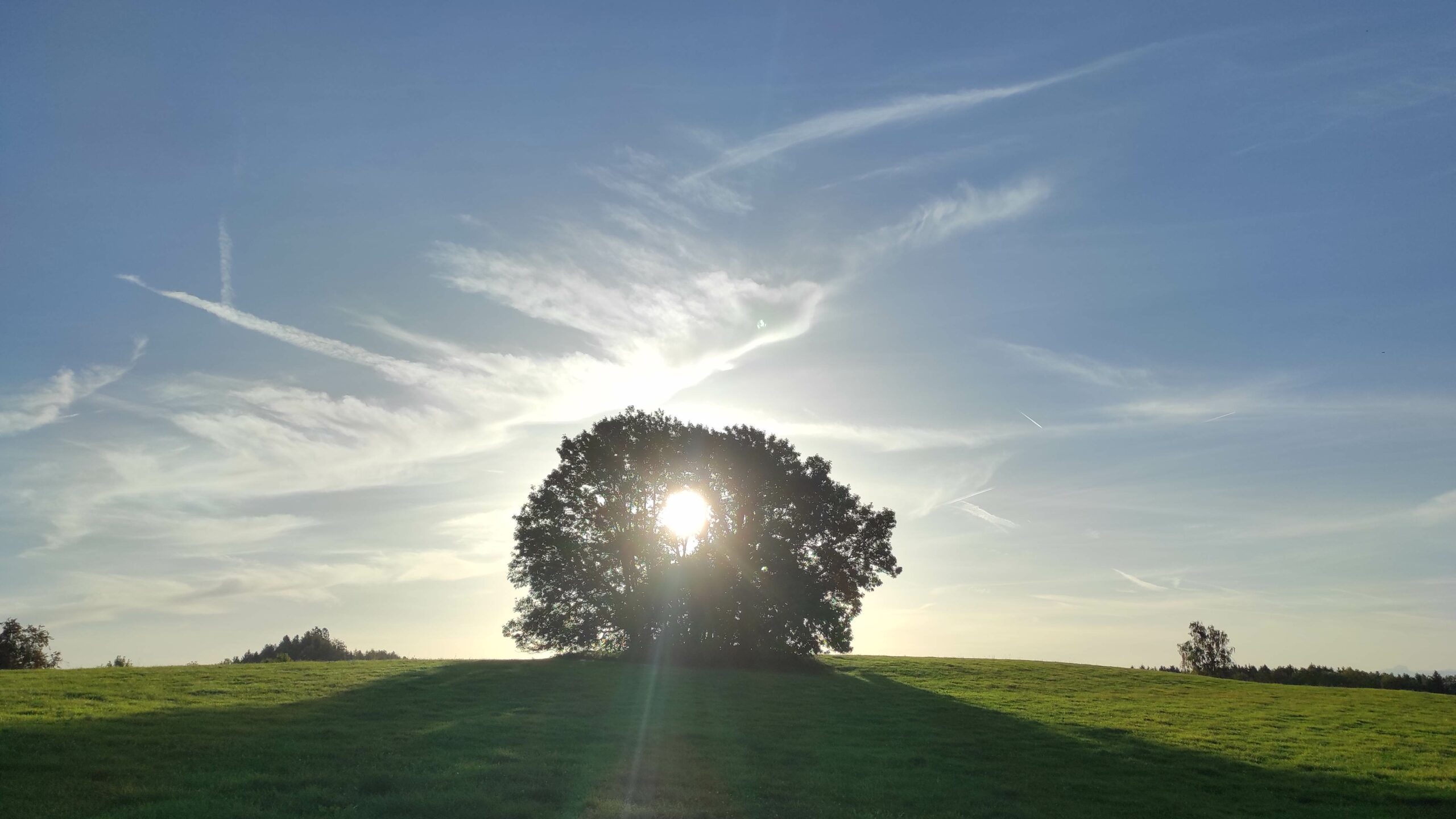 Erwachen, Licht, Erleuchtung, Spiritualität, Bewusstsein, Freude, Glück, Leben, Sinn, Sinn des Lebens, Heilung, Verkörperung, Non-Duality, Wahrnehmung, Regulation, Heilung, Sein